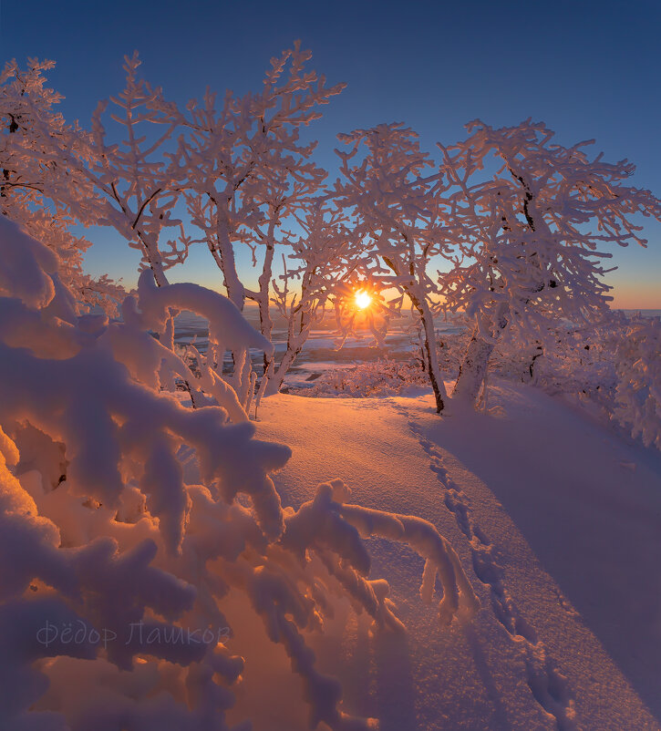 Снежная зима - Фёдор. Лашков Снежная зима - Фёдор. Лашков