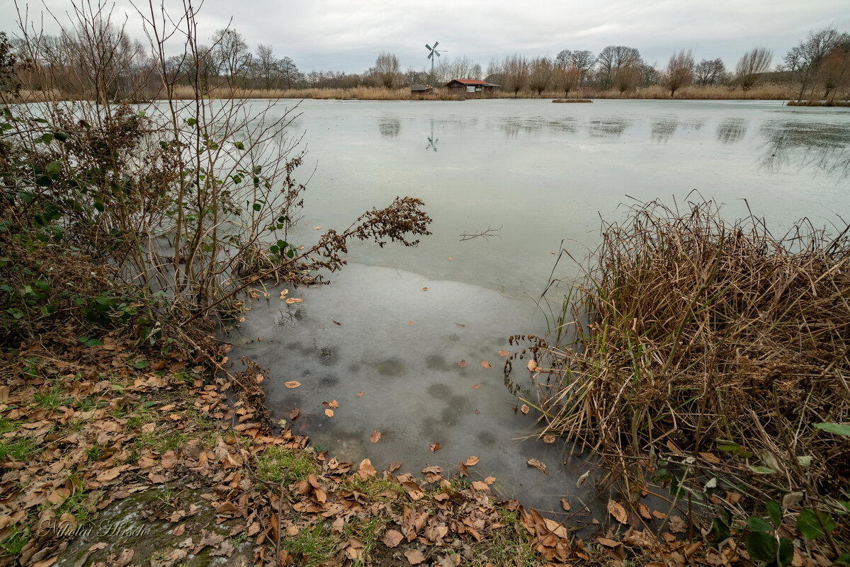 С ледком... - Николай Гирш