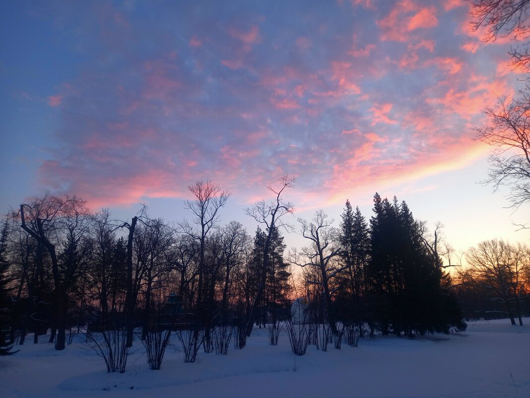 Рассвет - Сапсан 