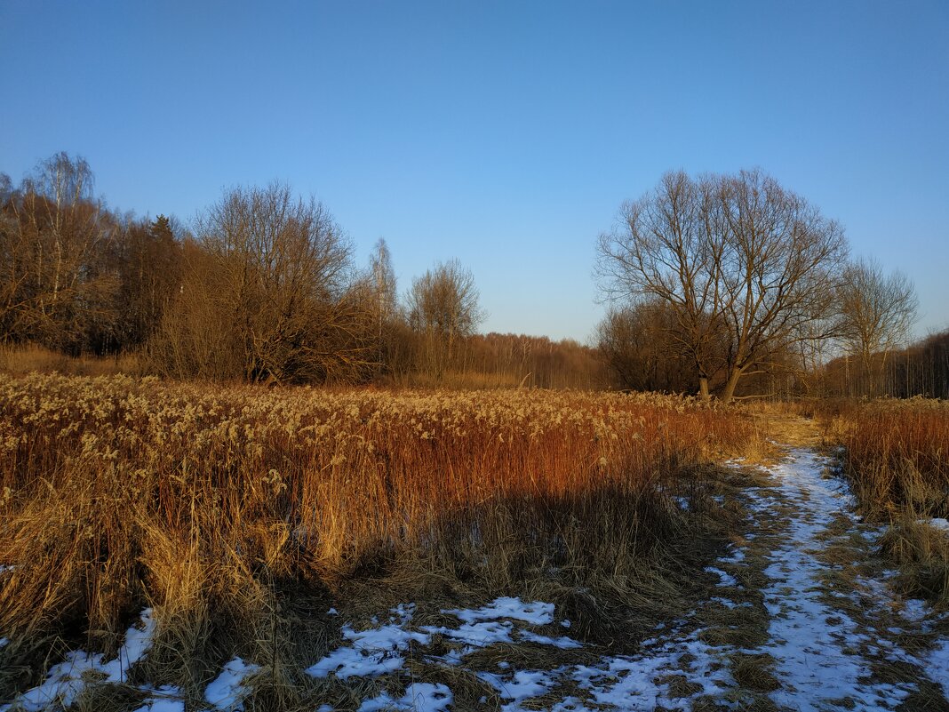 Провожая несостоявшуюся зиму - Андрей Лукьянов