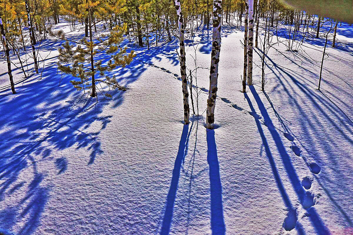 В зеркале февраля! - Владимир 