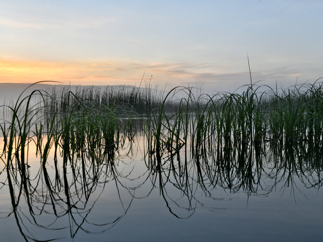 Ангара: утренний туман - Сергей Шаврин