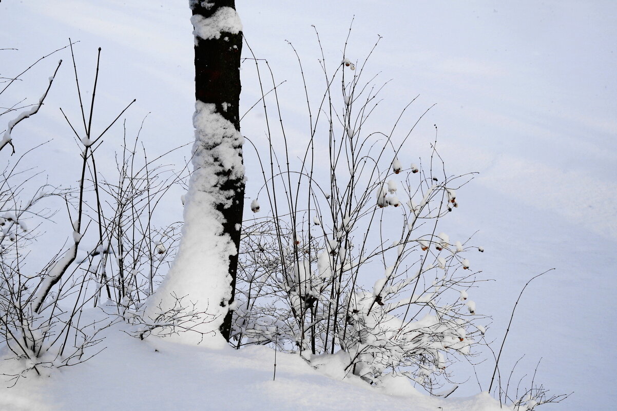 Февраль - Рита Симонова