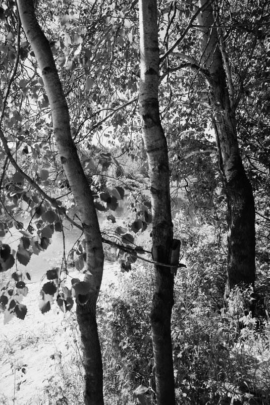 Название отсутствует - Денис Безногов Название отсутствует - Денис Безногов