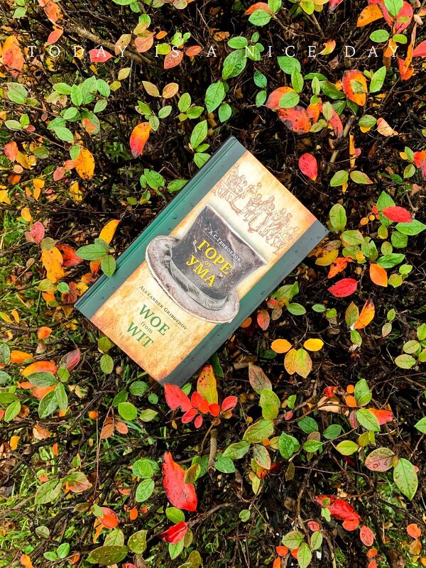 Чтение на свежем воздухе - Alexandra Sakharova