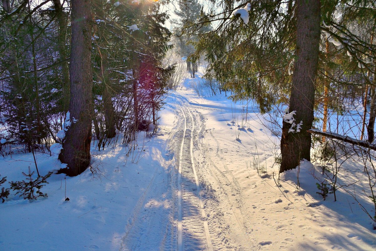 - - Владимир Мигонькин - - Владимир Мигонькин