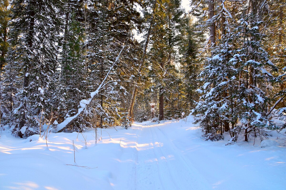 - - Владимир Мигонькин