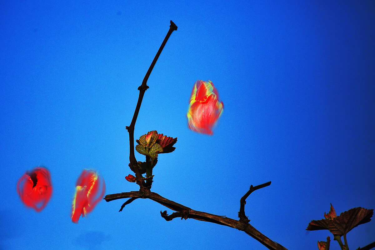 На фоне неба - Юрий Гайворонскiий На фоне неба - Юрий Гайворонскiий