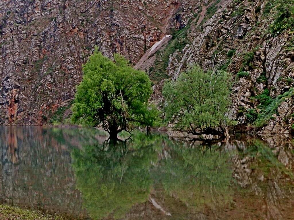 ЗИМНЯЯ ПРОГУЛКА. - Виктор Осипчук ЗИМНЯЯ ПРОГУЛКА. - Виктор Осипчук