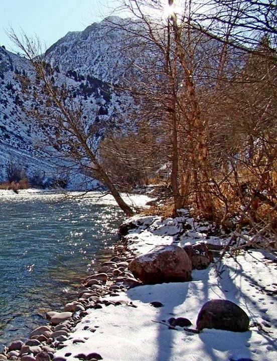 ЗИМНЯЯ ПРОГУЛКА. - Виктор Осипчук