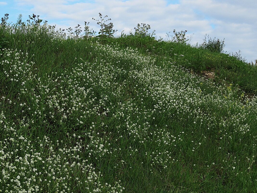 ПРО Екатеринбург - Елена Шаламова