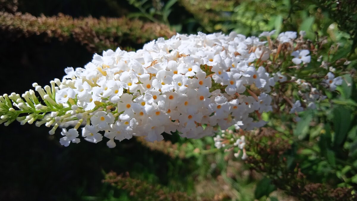 октябрь Новороссийск - Елена Шаламова октябрь Новороссийск - Елена Шаламова