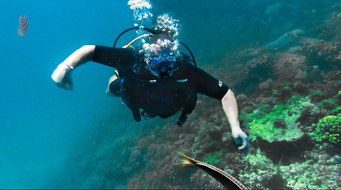 Первая рыбка - моя ! - Александр Ковальчук Первая рыбка - моя ! - Александр Ковальчук