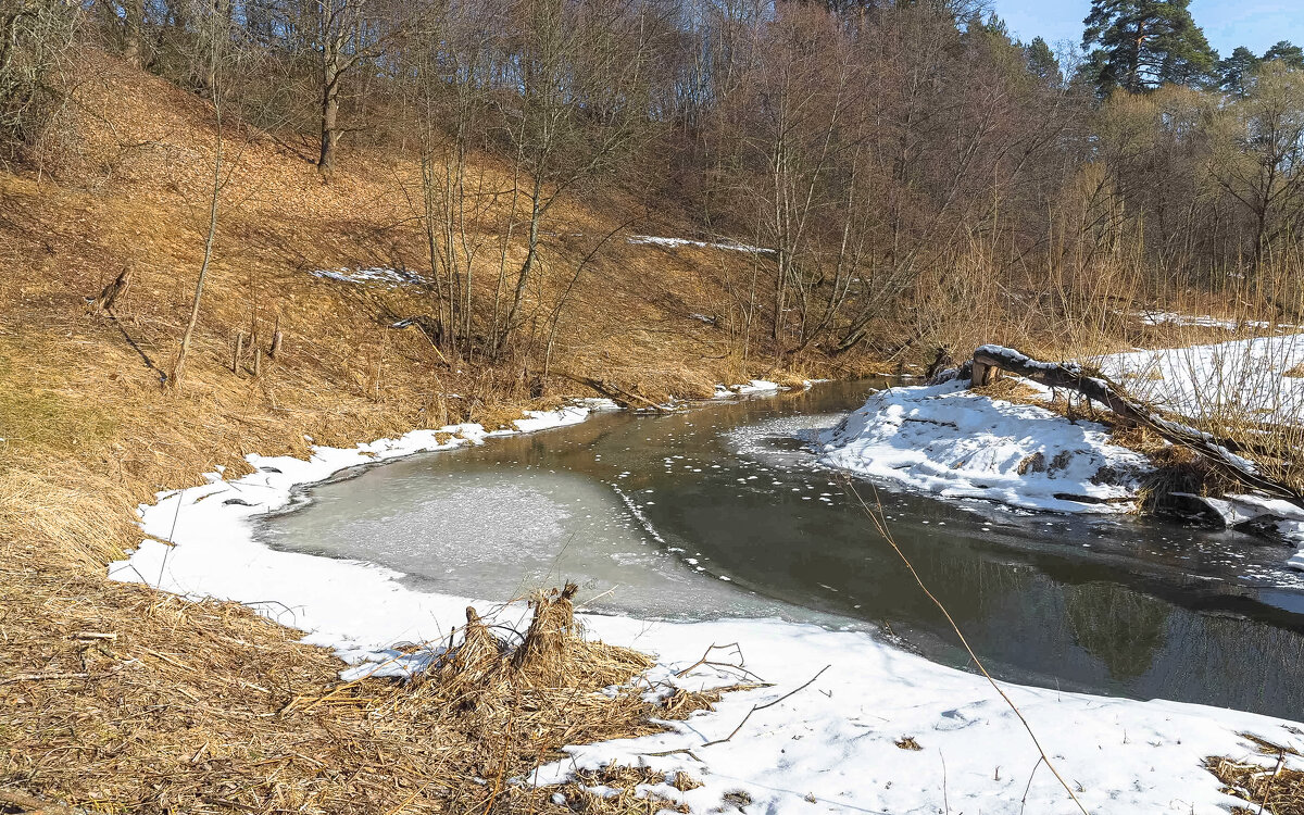 ***** - юрий поляков