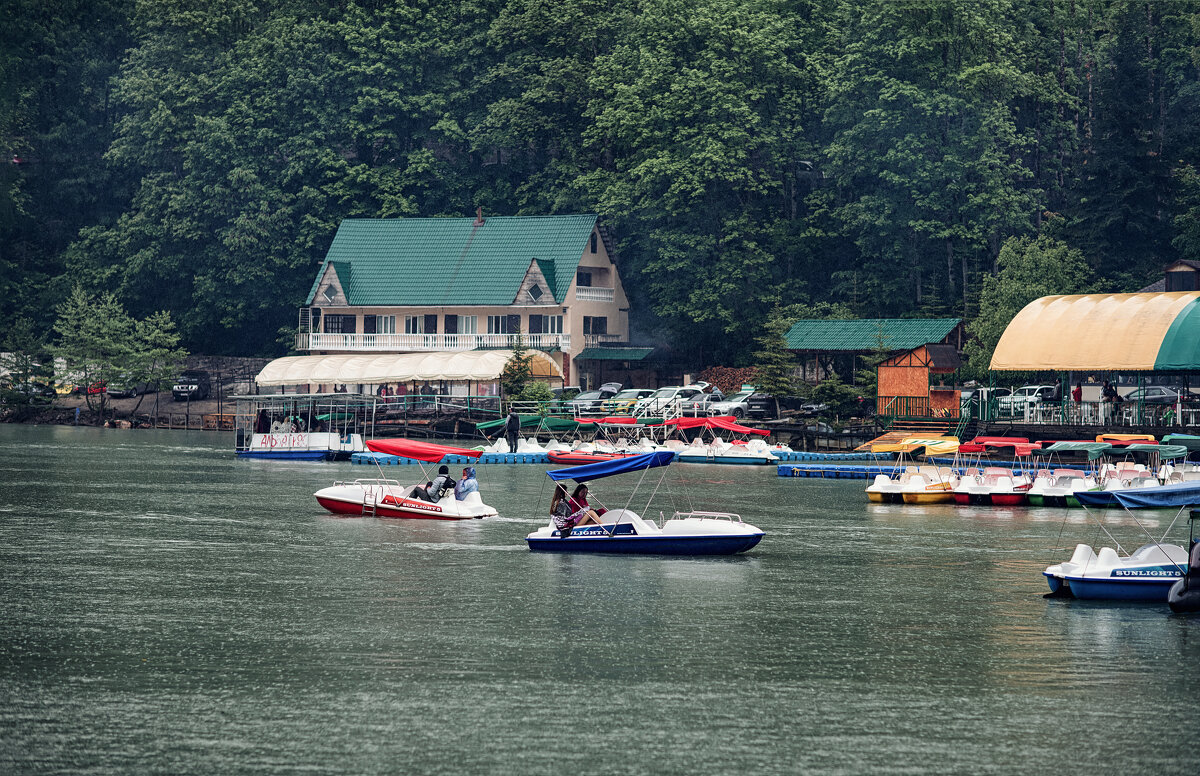 Рица - Лилия . Рица - Лилия .