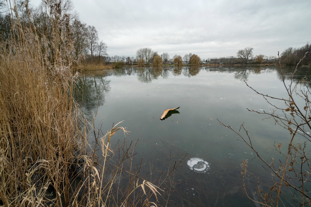 Пузырь во льду... - Николай Гирш Пузырь во льду... - Николай Гирш