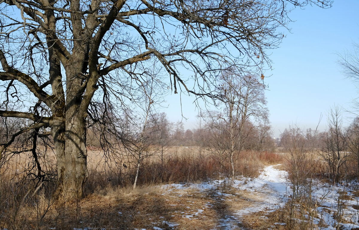 Последний день зимы... - Андрей Зайцев Последний день зимы... - Андрей Зайцев