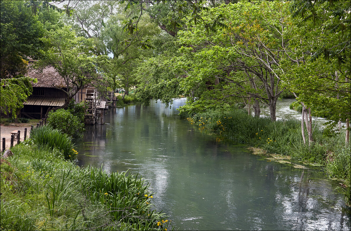 Чистейшие ручьи Нагано - Валерий Готлиб Чистейшие ручьи Нагано - Валерий Готлиб