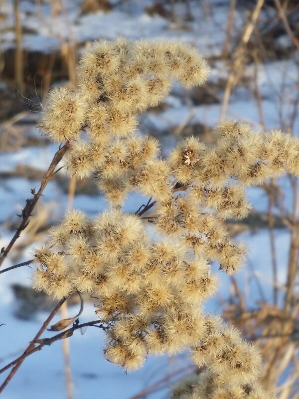 ... - Наталия Кольцова