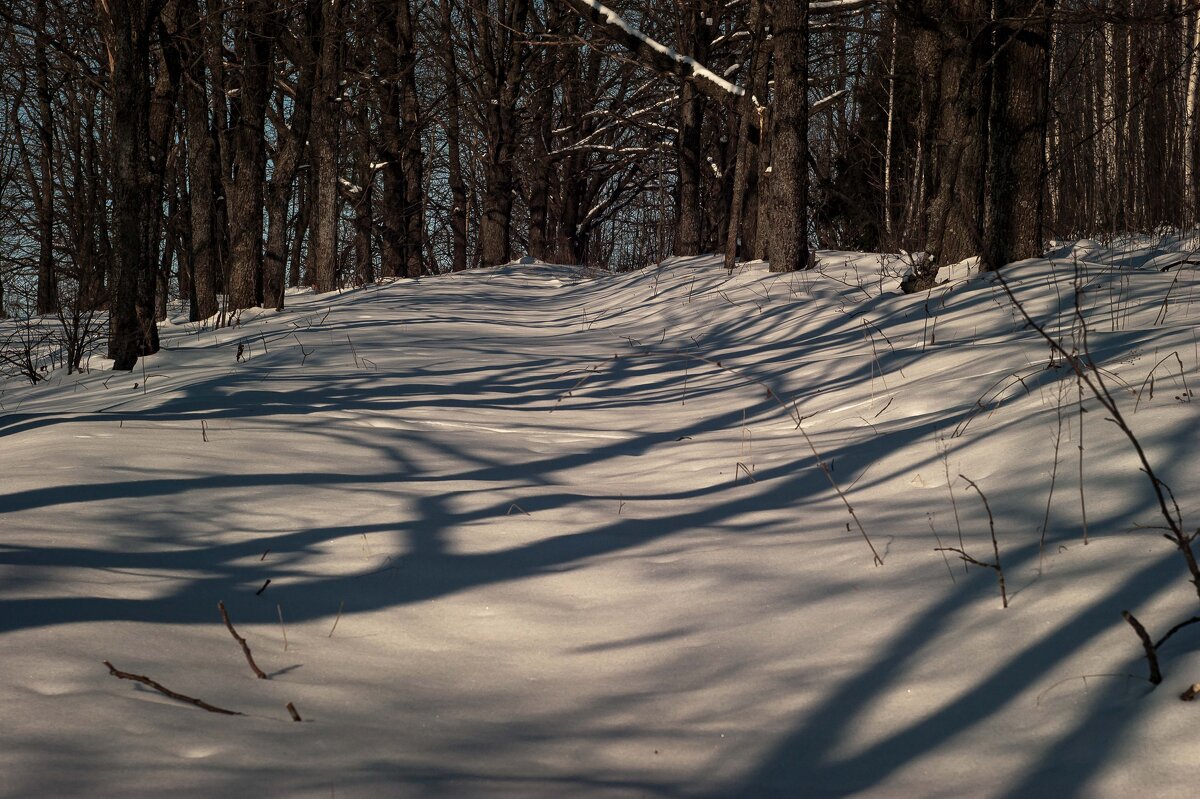 Зимние узоры - Дмитрий Ряховский