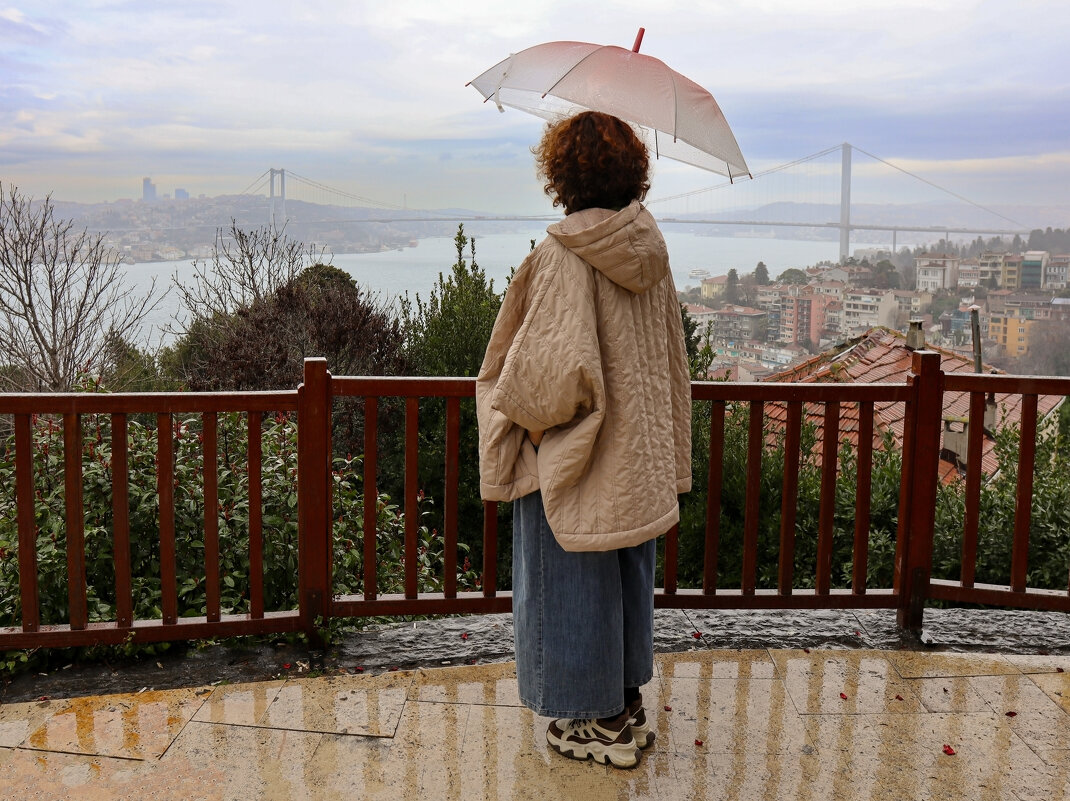 Вид на второй мост через Босфор - skijumper Иванов Вид на второй мост через Босфор - skijumper Иванов