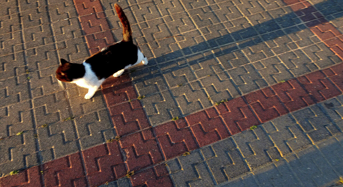 Эго - Helmut Levitt