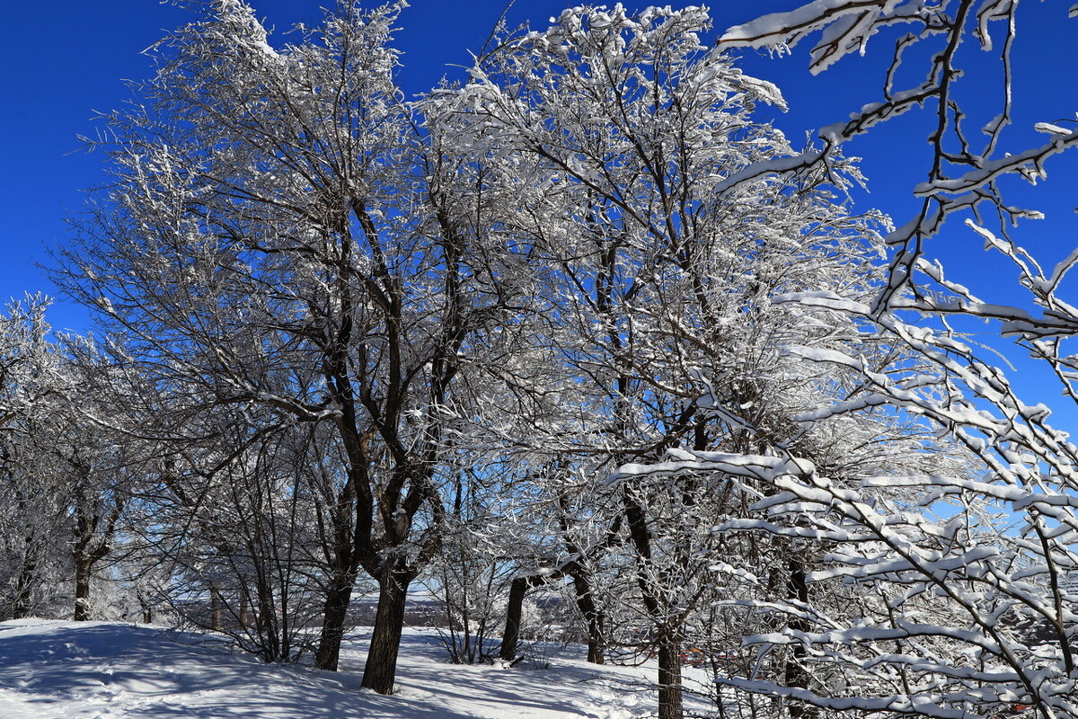 зима - Игорь Kуленко