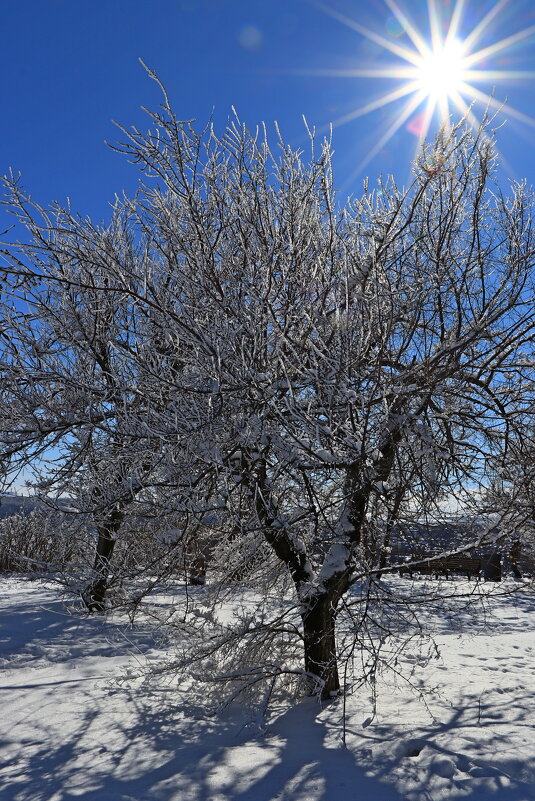 полдень - Игорь Kуленко