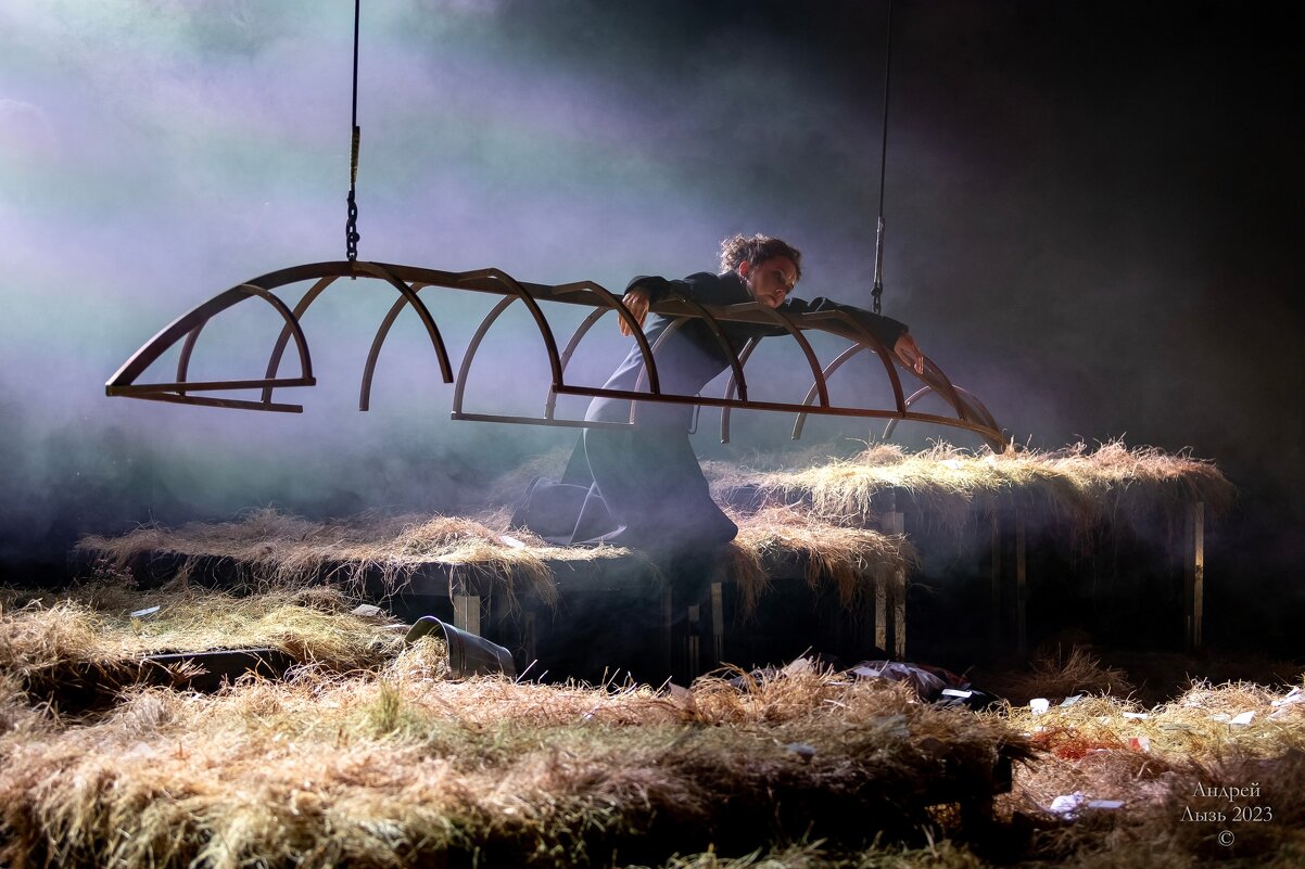 «Чайка» Московский театр «Школа драматического искусства» - Андрей Lyz «Чайка» Московский театр «Школа драматического искусства» - Андрей Lyz