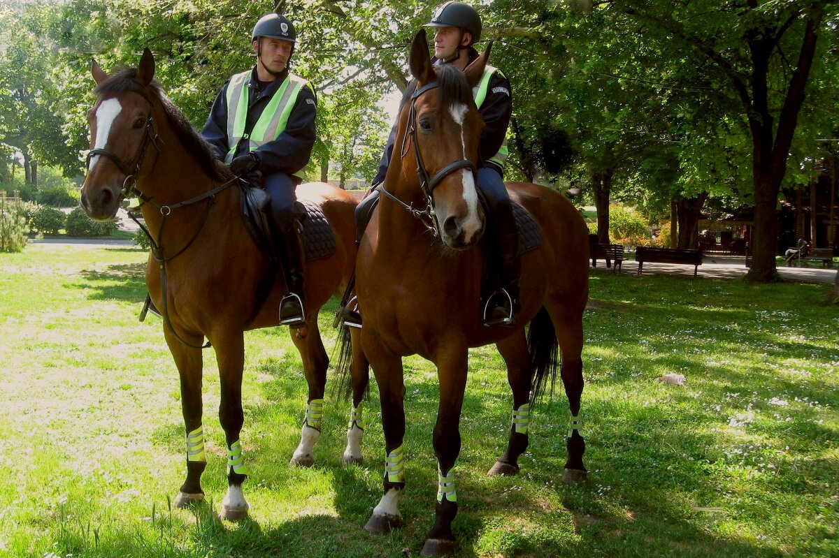 ПОЛИЦАЈЦИ(ПОЛИЦЕЙСКИЕ) - Татьяна Касьяненко ПОЛИЦАЈЦИ(ПОЛИЦЕЙСКИЕ) - Татьяна Касьяненко