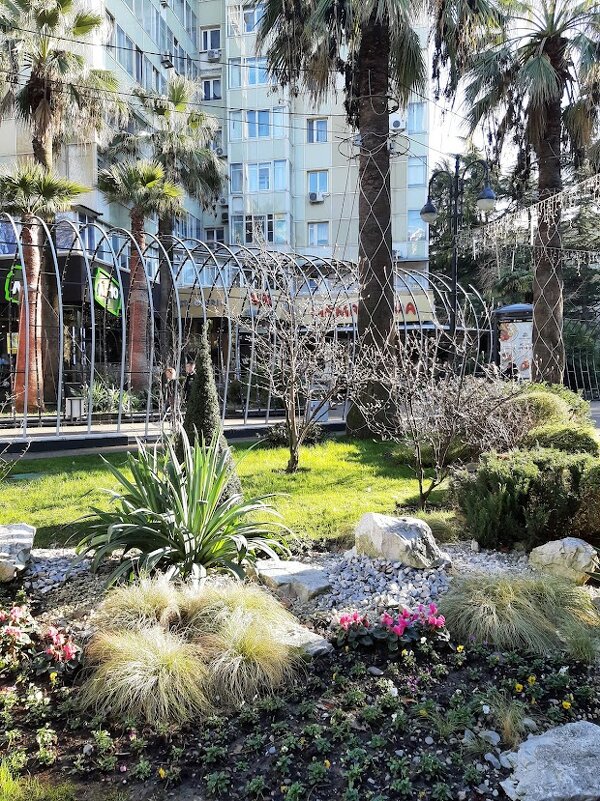 Навагинская в январе - Tata Wolf Навагинская в январе - Tata Wolf