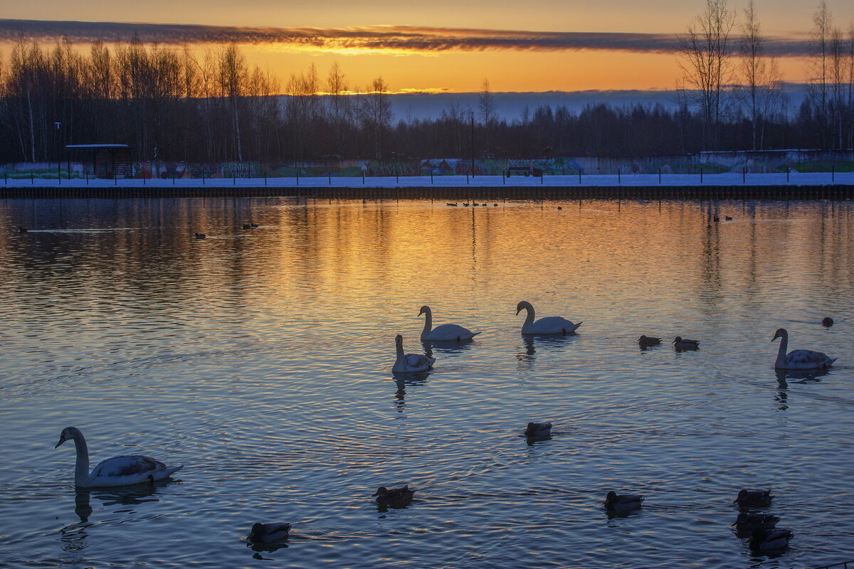 *** - Сергей  Могутов 