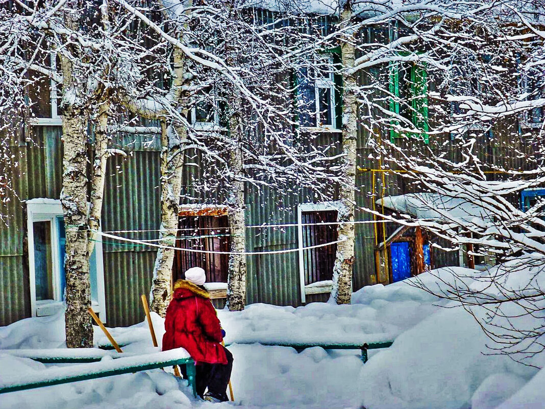 Февраль...Утром у крылечка! - Владимир 