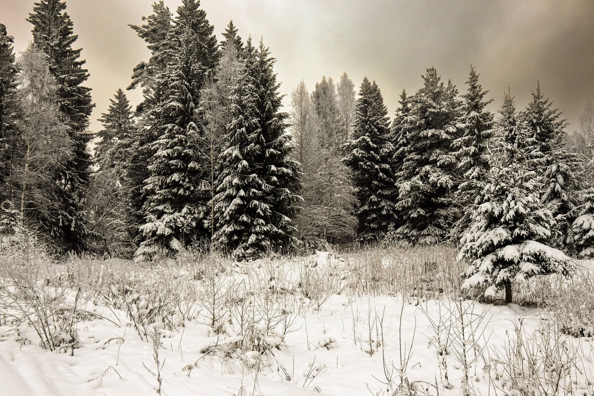 Касимово - skijumper Иванов Касимово - skijumper Иванов