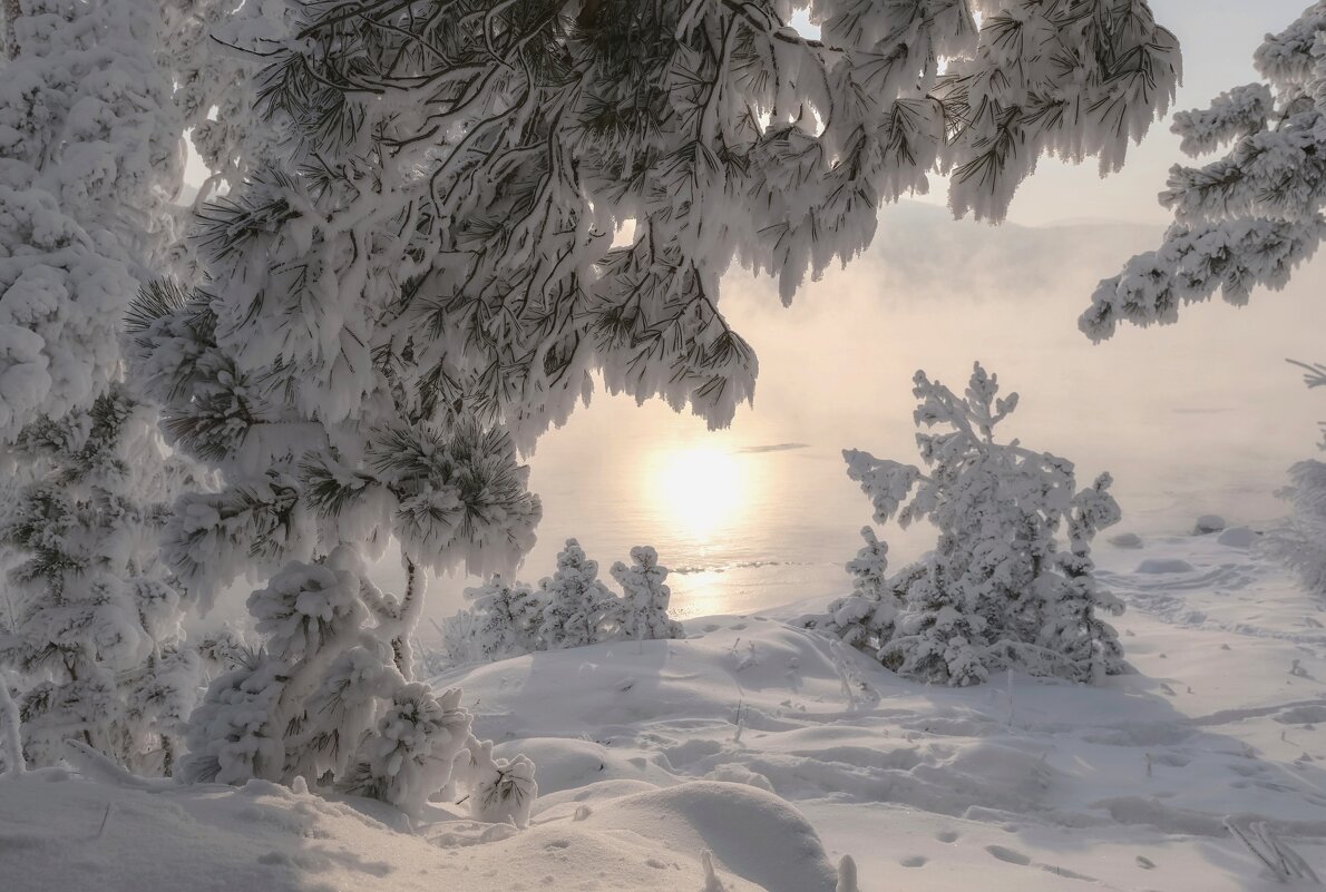 Морозный Енисей - Марина Фомина.