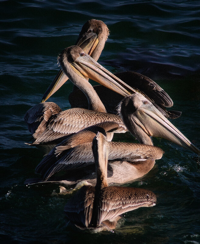 Веселая семейка - Александр Веселая семейка - Александр