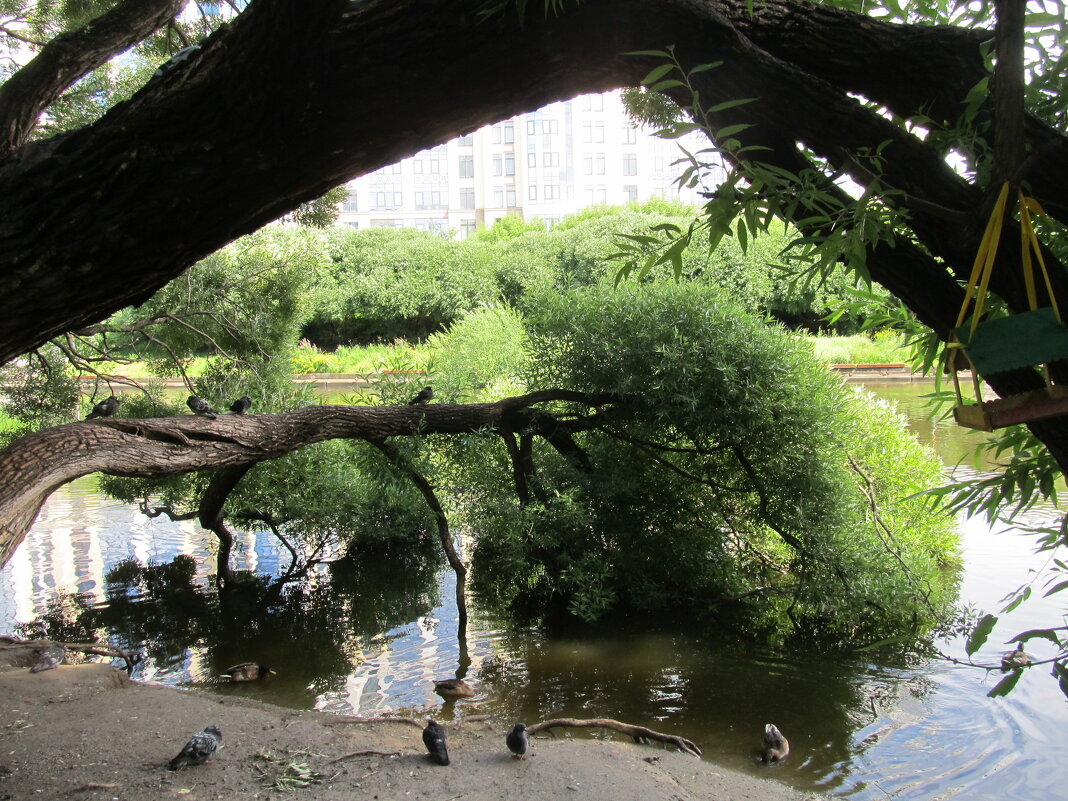 ПРО Екатеринбург - Елена Шаламова