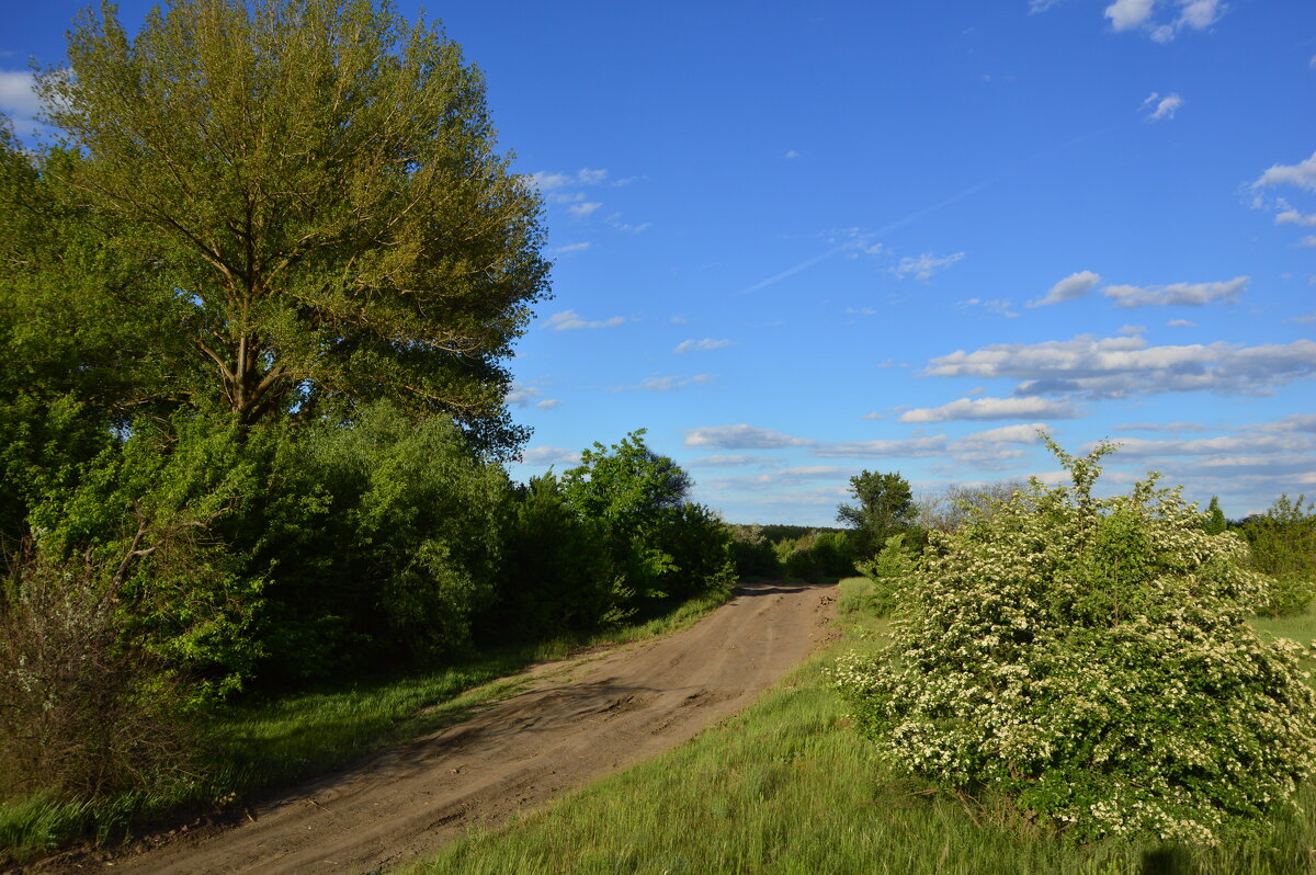 Мои дорога. - Виктор 