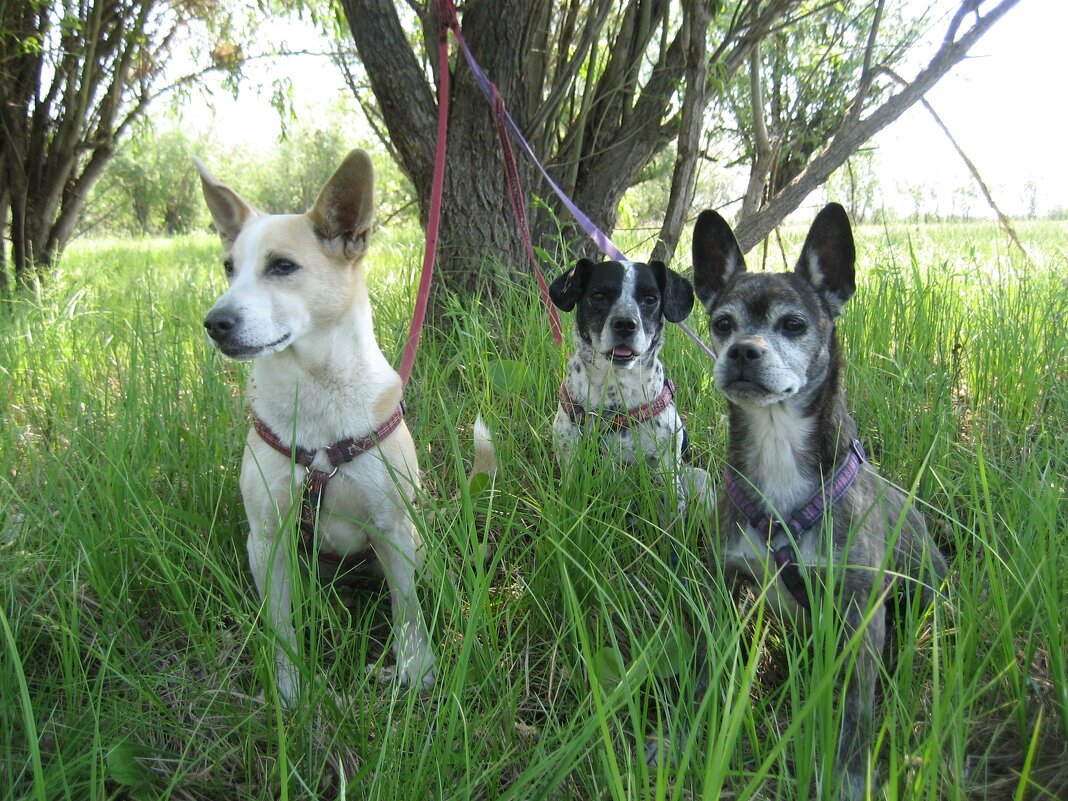 Жаркий день - Anna Ivanova