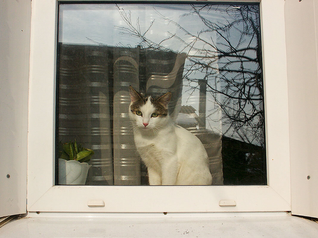 "Не пустила гулять" (Триптих, часть 3) - MILAV V "Не пустила гулять" (Триптих, часть 3) - MILAV V