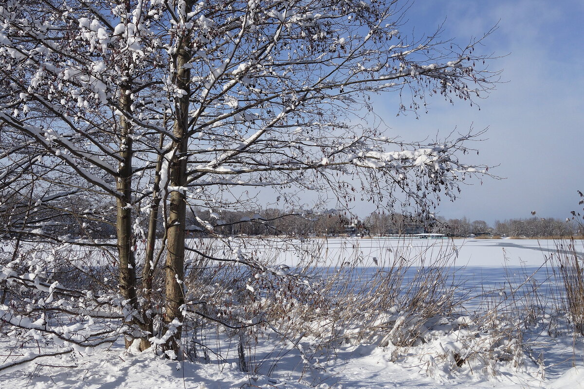 В окрестностях Калининграда - Рита Симонова В окрестностях Калининграда - Рита Симонова