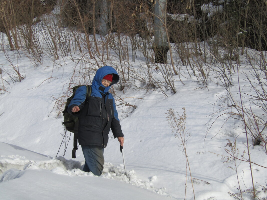 В Сибири спит ещё весна... - Galaelina *** В Сибири спит ещё весна... - Galaelina ***