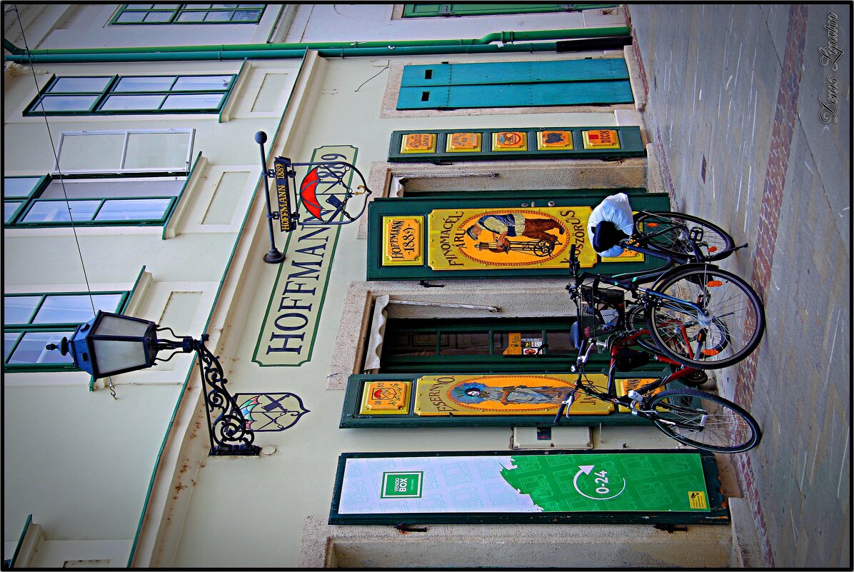 hoffmann - Denis Lipatov