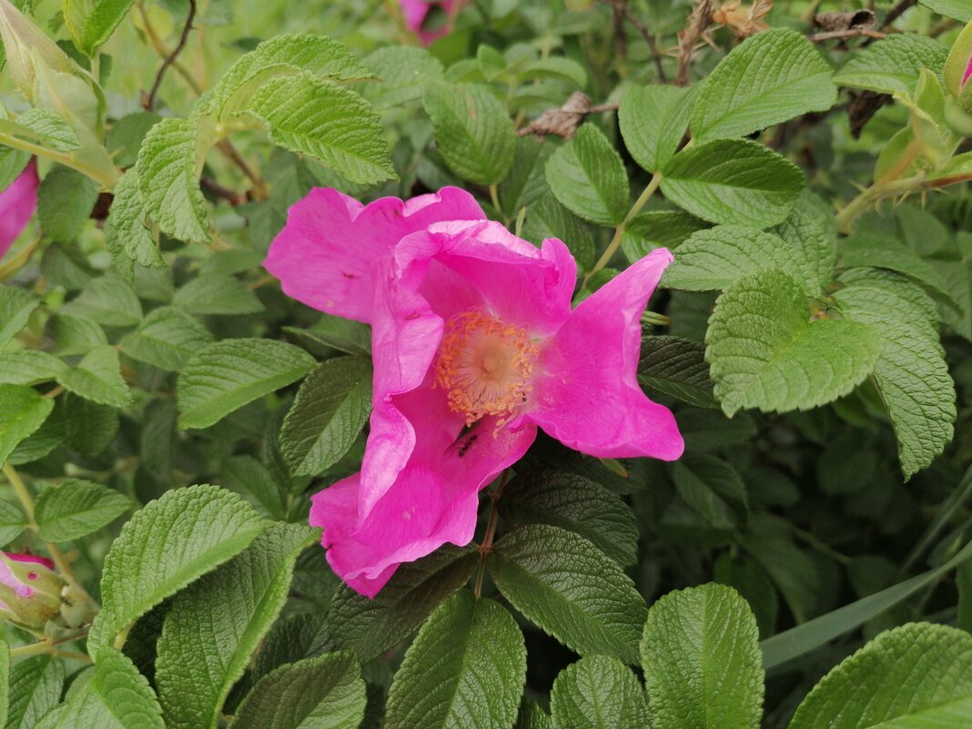 ,,, - Сергей Тимоновский