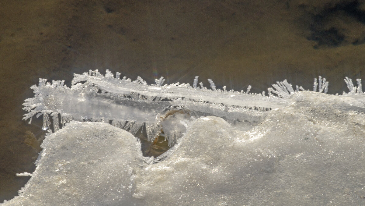 Как пила - sorovey Sol