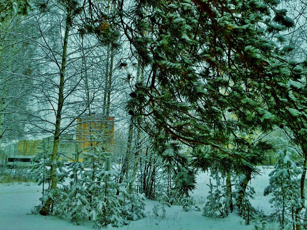 городская среда - Владимир 