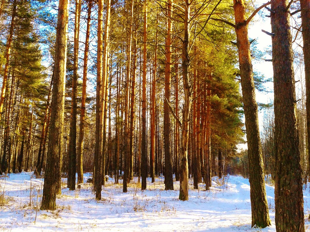 природа - Владимир 