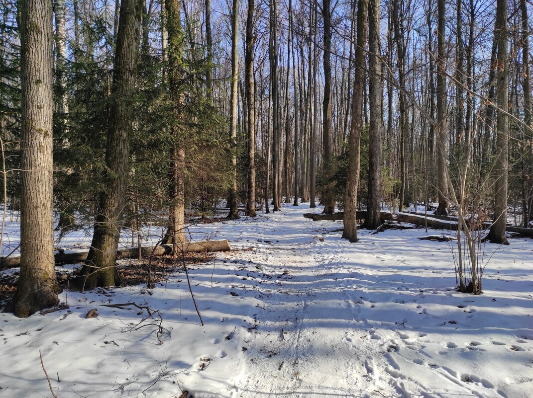Тропинка к роднику - Игорь Ч. Тропинка к роднику - Игорь Ч.