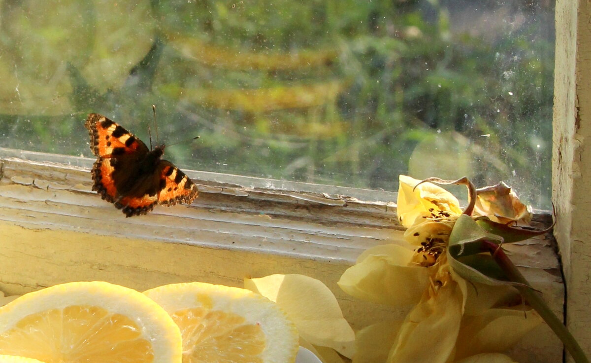 Натюрморт! - жанна нечаева Натюрморт! - жанна нечаева