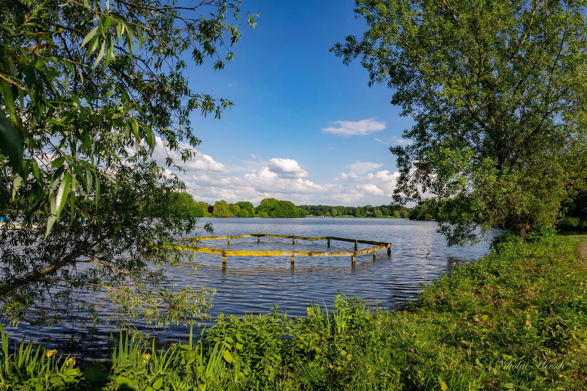 В разгаре мая... - Николай Гирш В разгаре мая... - Николай Гирш